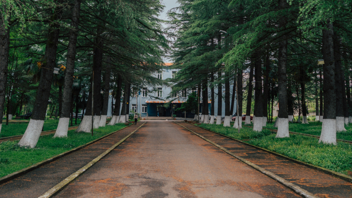 პროფესიული განათლების სენაკის ცენტრი